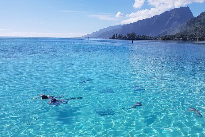 Snorkeling excursion, discovery of the lagoon, small group. - What Makes This Tour Special