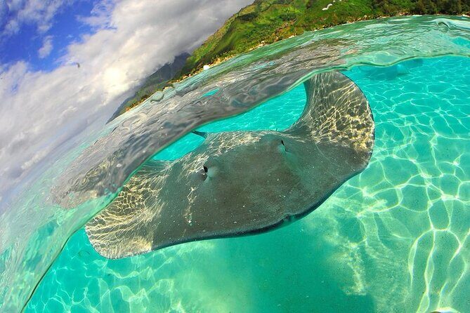 Snorkeling with underwater scooter in Tahaa lagoon from Raiatea - Who Should Consider This Tour