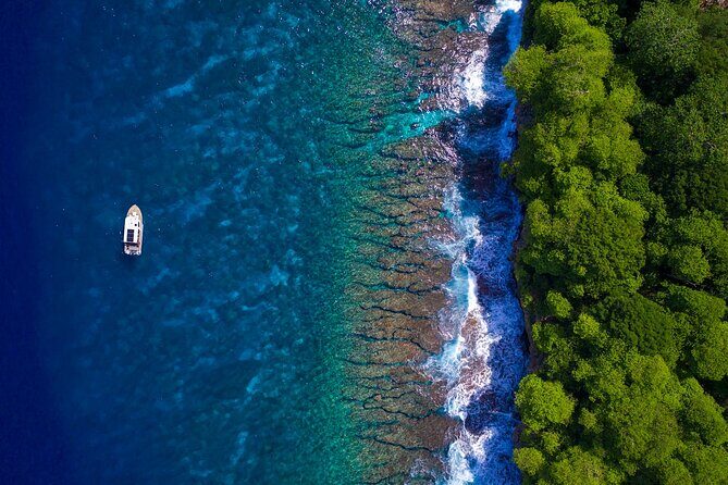 Snorkelling Christmas Island - Who Will Love This Tour