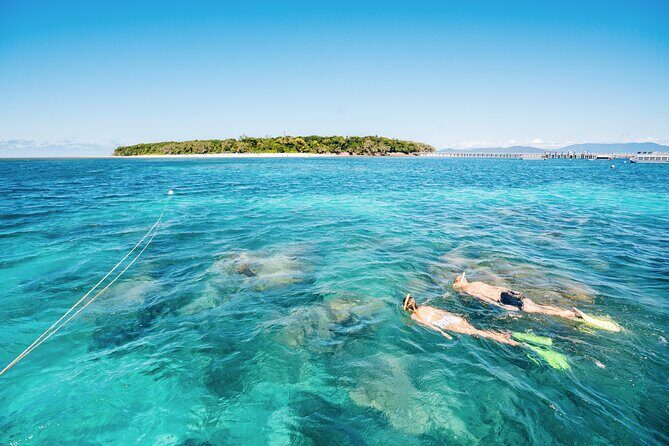 Snorkelling or Glass Bottom Boat at Green Island from Cairns - Final Thoughts: Is This Tour Right for You?