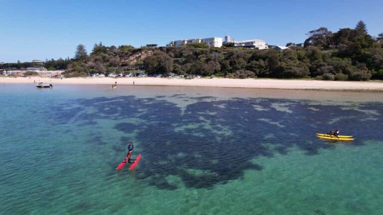 Sorrento, Mornington Peninsula Waterbike Tour - The Experience and Its Value
