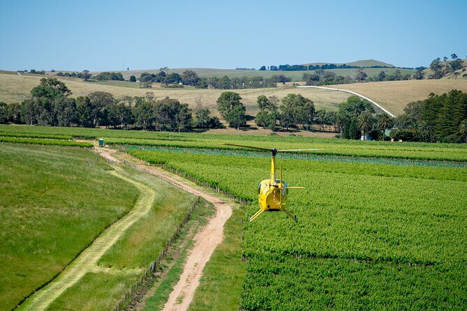 Southern Barossa: 10-Minute Helicopter Flight - Potential Drawbacks or Considerations