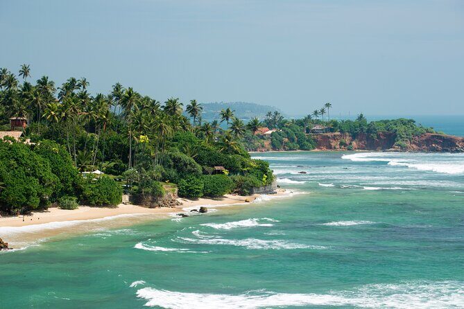 Southern Coast Highlights Tour from Bentota - Transportation and Practicalities