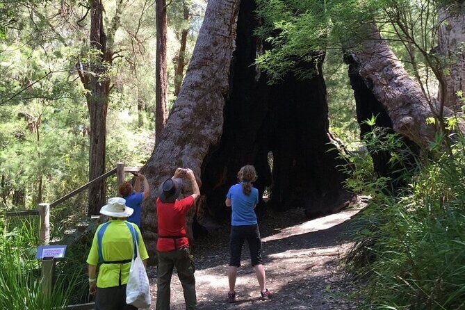 Southern Experience 3 Day Tour - FAQ About the Southern Experience 3 Day Tour