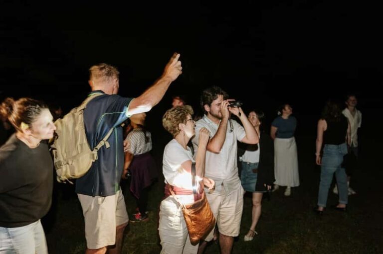Southern Highlands: Nocturnal Wildlife Experience - Why It’s Worth Considering