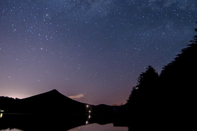 Southern Skies Stargazing Tour in Dunedin - Transportation and Timing Considerations