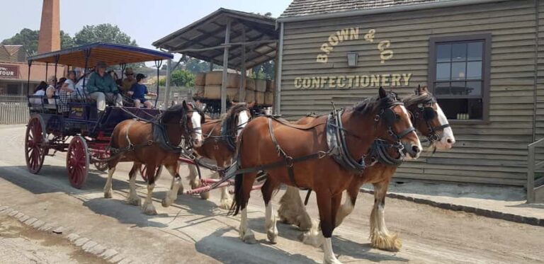 Sovereign Hill & 12 Apostle Private Tour Up to 14 pax - An Introduction to the Journey