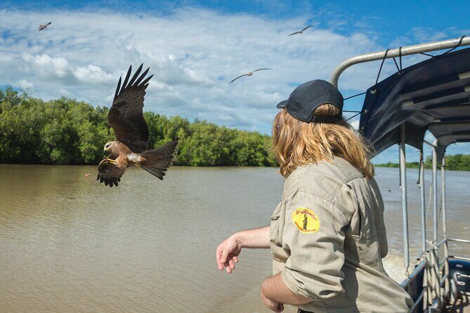 Spectacular Jumping Crocodile Cruise with Darwin Transfer Bus - Why This Tour Offers Great Value