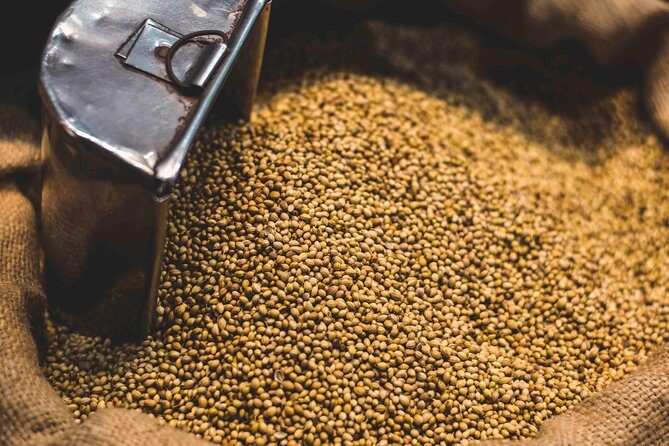 Spice Market & Old Delhi Highlights: Guided 3-Hour Tour - Final Thoughts