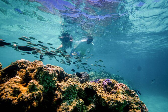 SPORT PRIVATE Catamaran Bora Bora : Half Day Trip - Itinerary Breakdown: What to Expect