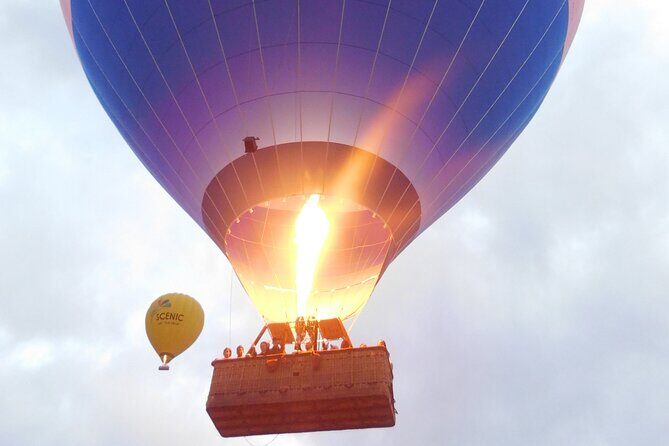 Springbrook, Natural Arch & Numinbah Valley + Hot Air Balloon with Breakfast - Exploring Springbrook National Park