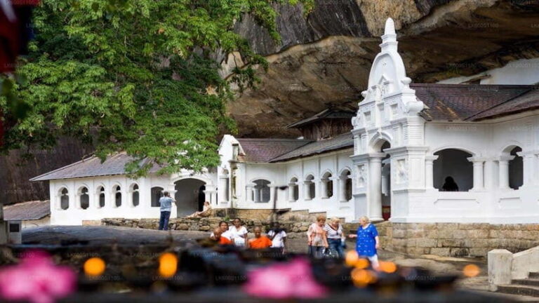 Sri Lanka 3-Day Tour:Explore Sigiriya Kandy and Nuwara Eliya - Transportation and Value