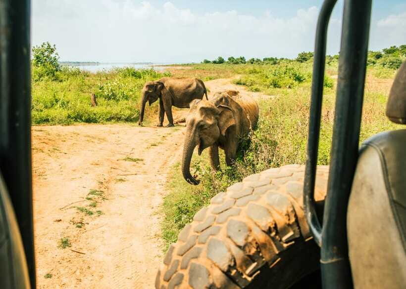 Sri Lanka: 5-Day Tour with Hill Country, Cultural Triangle - Daily Breakdown of the Itinerary