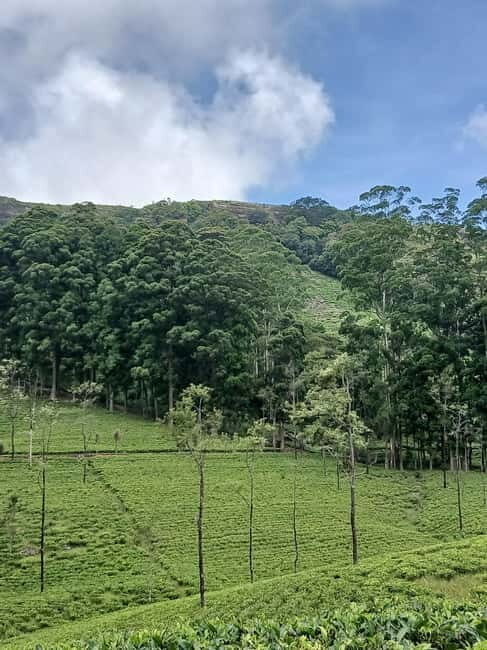 Sri Lanka: Central Province Motorbike Tour as Passenger - An Authentic Ride Through Sri Lankas Heartland