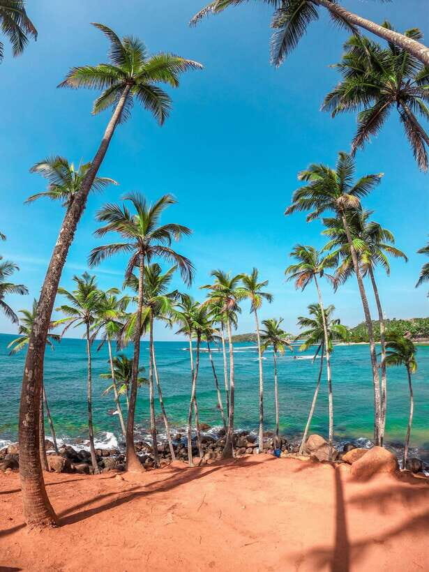 Sri Lanka Private 8-day Tour; Transport, Guide, Hotels, Food - What to Expect from the Itinerary