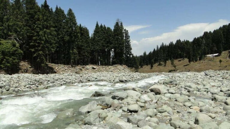 Srinagar: Doodhpathri Day Trip with Transfers - The Sum Up: Why This Experience Matters