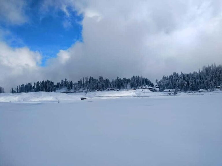 Srinagar: Gulmarg Day Tour - Explore the Meadow of Flowers - The Value of This Tour