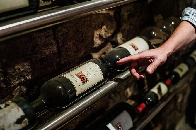 St Hallett Ultimate "Barossa Shiraz" Experience - What You Can Expect During the Tour