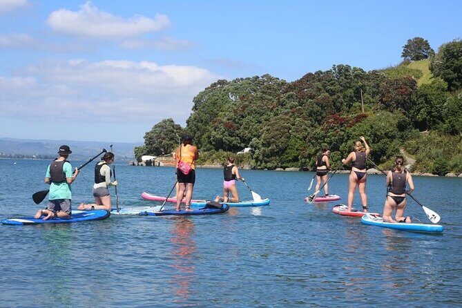 Stand Up Paddle Board Adventure in Mount Maunganui - The Experience in Detail
