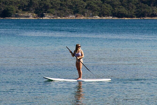 Stand Up Paddle Board Hire - 2 Hours - The Experience in Detail
