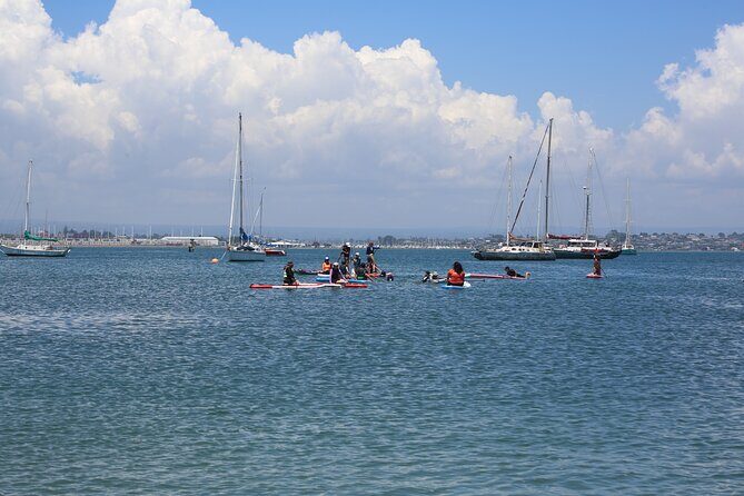 Stand Up Paddle Board Lesson in Mount Maunganui - What You Can Expect from the SUP Experience