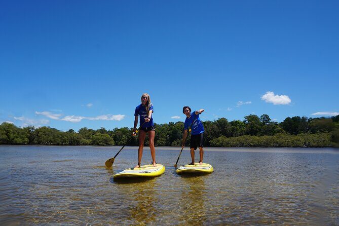 Stand-Up Paddle Board Tour in Byron Bay - What to Expect on the Byron Bay SUP Tour