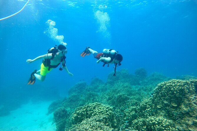 StandUp PaddleBoard Lesson and Experience Scuba Diving Package! - What You Can Expect from the Tour