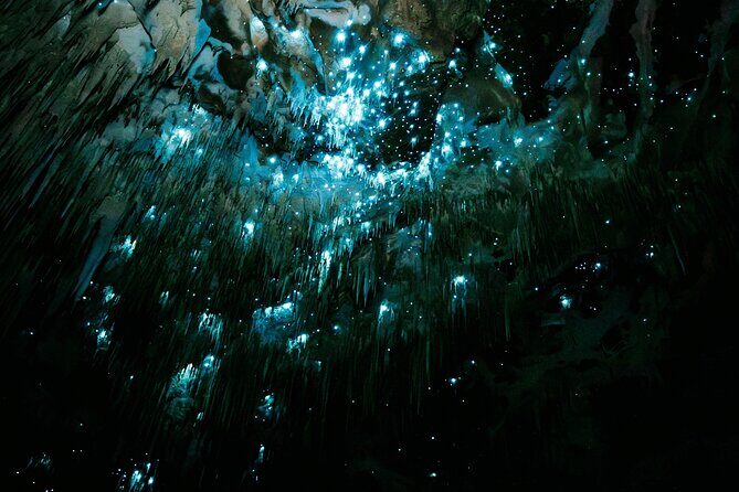 Starburst Cathedral deep inside Milky Way Glowworm Cave - Why Choose This Tour?
