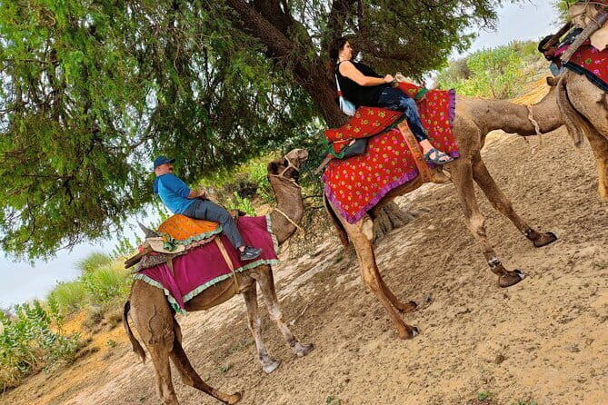 Stay Under The Billions Stars Overnight Camel Safari Tour - What’s Included and Not