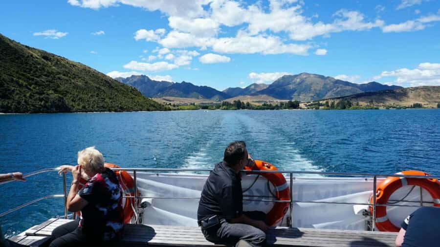 Stevensons Island 2-Hour Cruise and Nature Walk - Authentic Insights from Reviewers