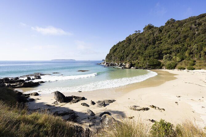 Stewart Island Guided Wilderness Walk - A Closer Look at the Stewart Island Guided Wilderness Walk