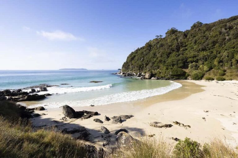 Stewart Island: Guided Wilderness Walk - What Travelers Say