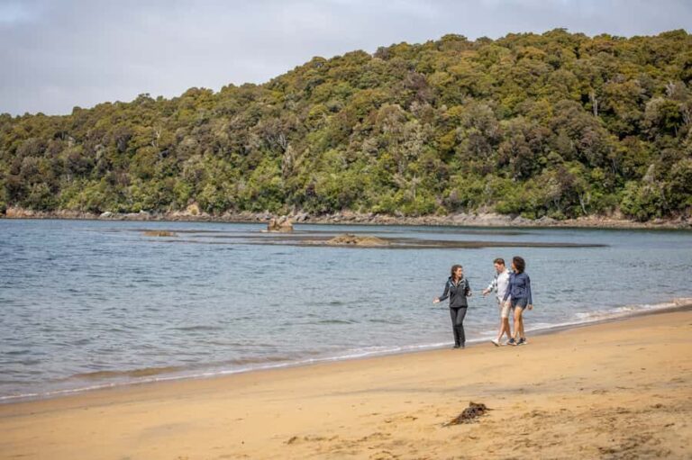 Stewart Island: Ulva Island Guided Wilderness Walk & Cruise - Detailed Breakdown of the Tour