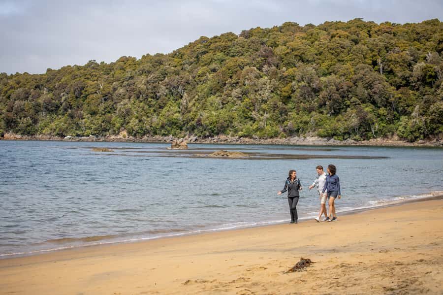 Stewart Island: Ulva Island Guided Wilderness Walk & Cruise - Detailed Breakdown of the Tour