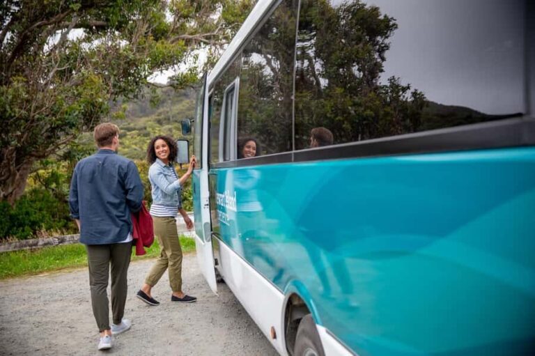 Stewart Island: Village and Bays Tour - Is It Worth the Price?