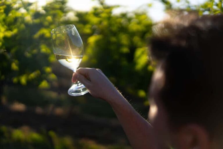 Strange Bird Flight of 3 Wine & Cheese - What Makes This Tour Special