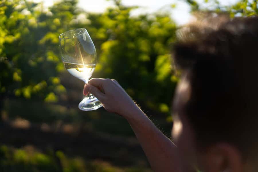 Strange Bird Flight of 3 Wine & Cheese - What Makes This Tour Special