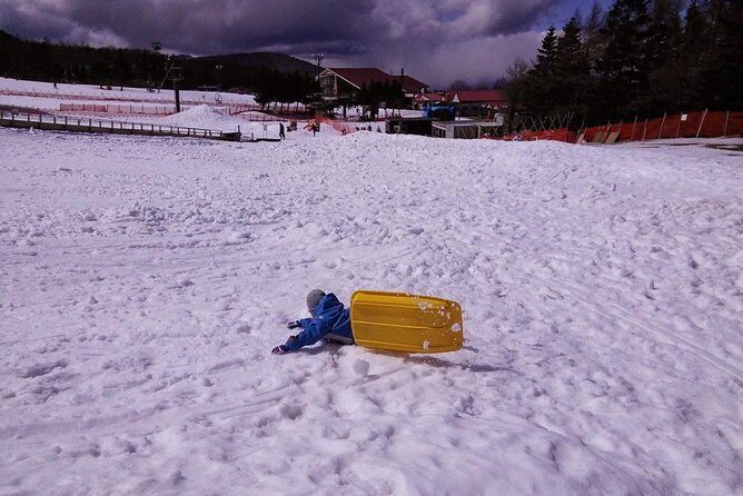 Strawberry Picking and Snow experience at Mt Fuji ski resort for VIP - What’s Included and What’s Not