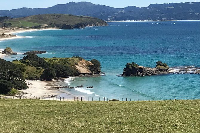 Stunning Auckland East Coast Walk & Wine Private Tour - Practical Tips for Potential Participants
