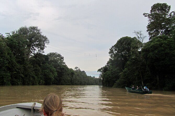 Sukau Rainforest Wildlife and Dawn Cruises Tour in Sandakan - Detailed Itinerary Breakdown