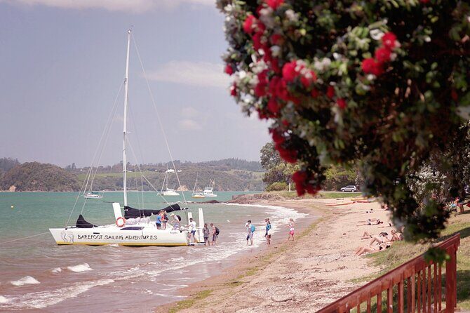 Sundowner Evening Cruise - 2 hour evening sailing cruise with swim stop - The Value of the Experience