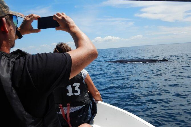 Sunrise dolphin watching experience and Bar Reef snorkelling  Kalpitiya - The Authentic Experience