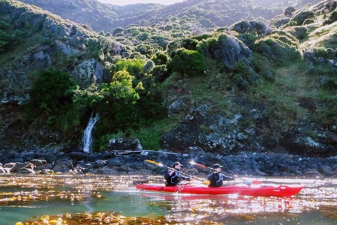 Sunrise wildlife sea kayaking in Akaroa marine reserve - Authentic Experiences and Real Feedback