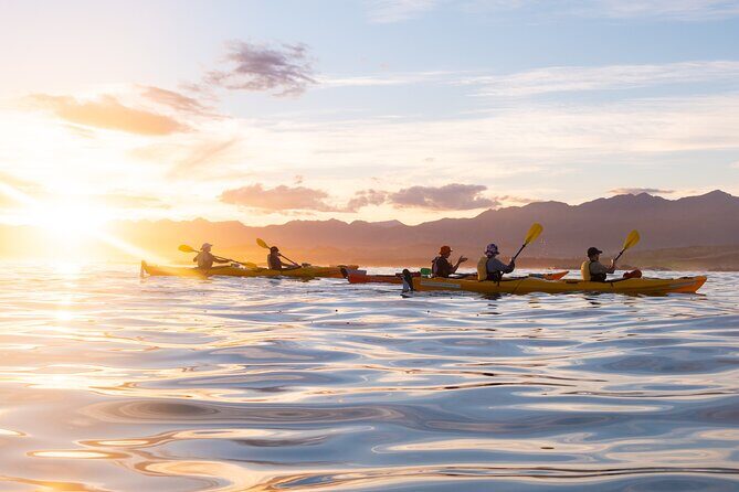 Sunset Evening Kayaking Tour - Kaikoura - The Itinerary Breakdown