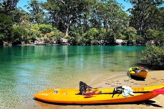Sunset Kayak Eco Tour with Marine Scientist - Final Thoughts