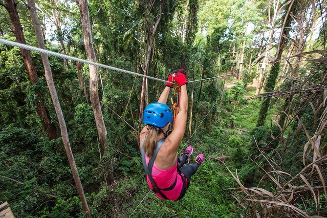 Sunshine Coast Adventure Park TreeTop Challenge - Price and Value