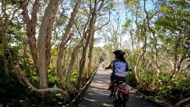 Sunshine Coast: Easy Peasy Novotel North E-Bike Tour - The Itinerary Breakdown: What Makes Each Stop Special