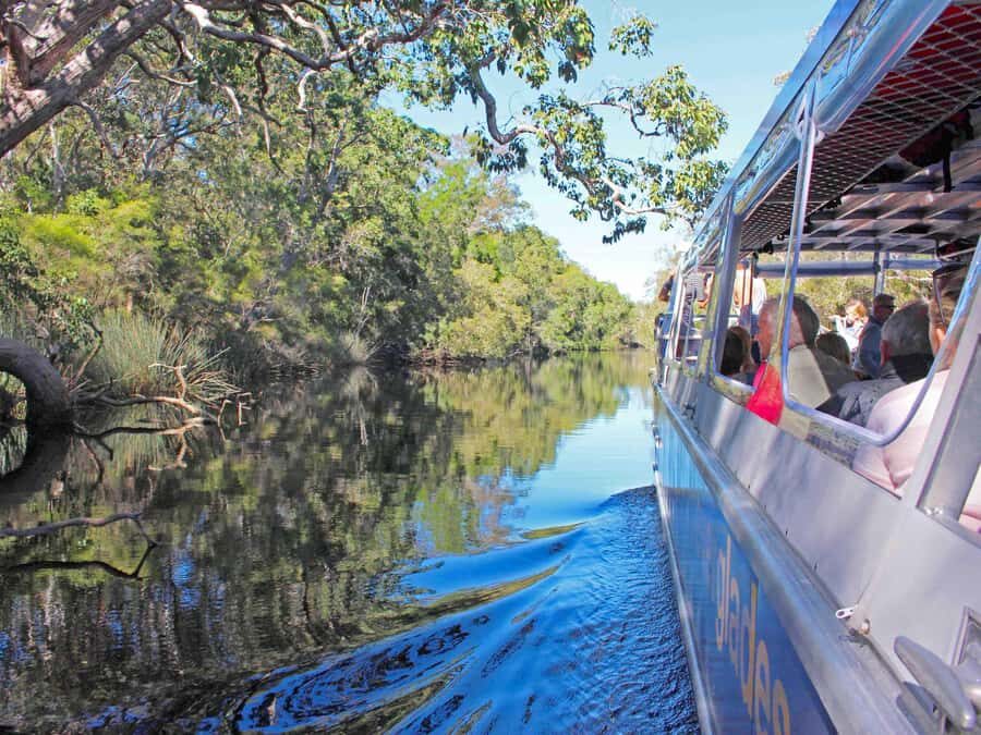 Sunshine Coast: Eumundi & Noosa Everglades with River Cruise - What Makes This Tour Stand Out?