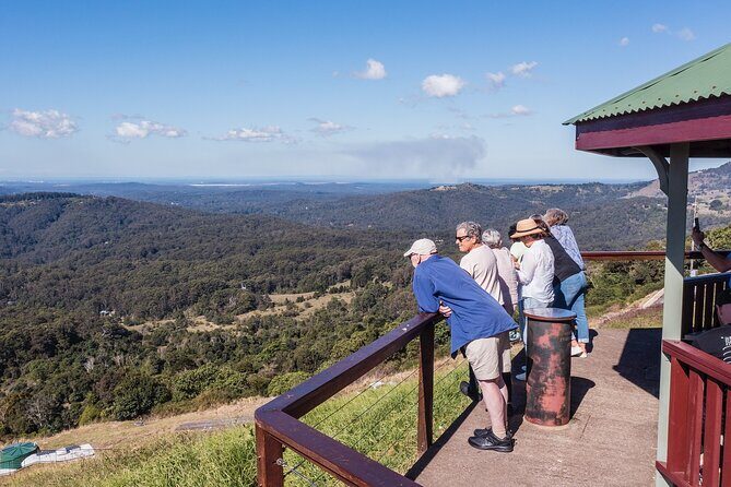 Sunshine Coast & Noosa Private Wine Tour Inc. Lunch & Tastings - How the Tour Feels in Practice