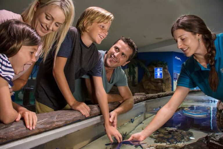 Sunshine Coast: SEA LIFE Sunshine Coast Entry Ticket - The Conservation Angle